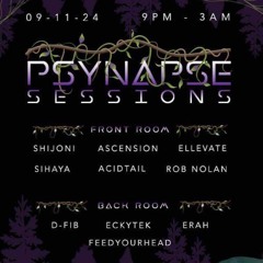 Psynapse sessions 2024