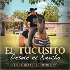 El Tucusito Desde El Rancho