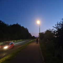 negative feedback loop