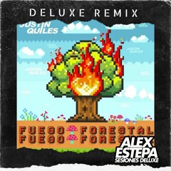 FUEGO FORESTRAL- JUSTIN QUILES (ALEX ESTEPA EDIT 90)