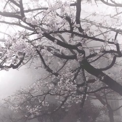 I'm not a demon. (prod. youngslashprod)