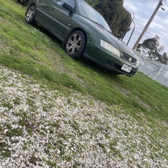 Crusing