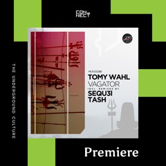 PREMIERE: Tomy Wahl - TrikMic [Movement Recordings]