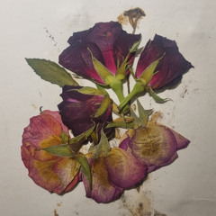 Under kannibalgudens berg