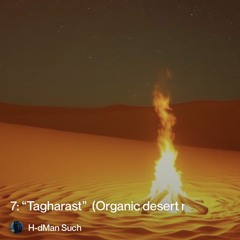 7:-“tagharast”--(organic-desert-night-trance-–-the-campfire-song).mp3
