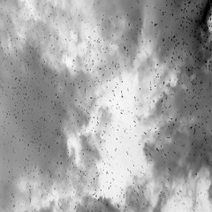 ashes (prod. HXRXKILLER)