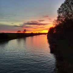 Learned Too Late_x.mp3