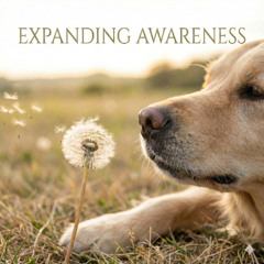 Expanding Awareness