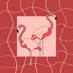 Flamingos (Instrumental)