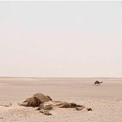 هيبة الفقد