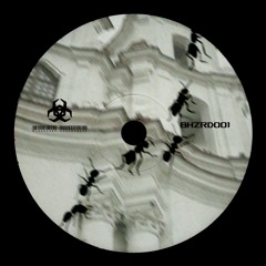 3X - INSECTS IN VITEBSK (FREE DL)