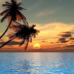 The Don - Summer Dub N Bass Mix 2012