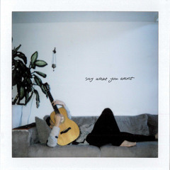 Say What You Want (feat. Tora)