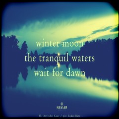 winter moon [naviarhaiku468]