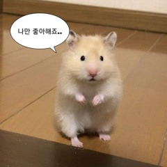 낮에 뜨는 달 - Riya cover