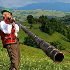 солонина - селиські гудаки
