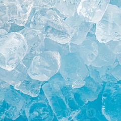Lupo Ice Prophet Disquiet0679