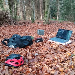 lizLIVE@spinnereibern.wav