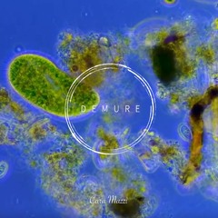 Demure Technocast #14 - Cara Mazzi / Microbe Music