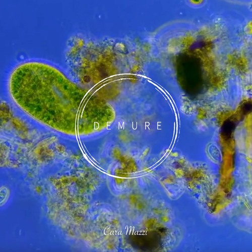 Demure Technocast #14 - Cara Mazzi / Microbe Music