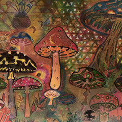 BAS._darkforest@BLACKFOREST#3