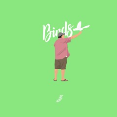 Birds (No Copyright Music)