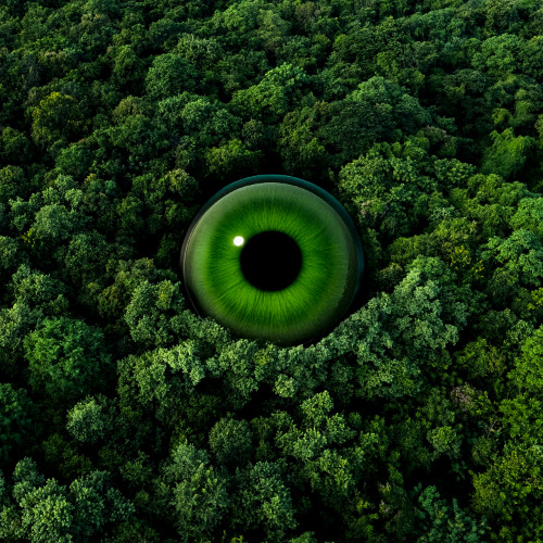 Dot (Original Mix) [Free DL]