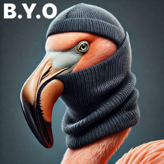 B.Y.O Flamingo's