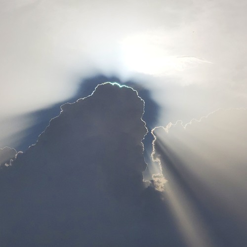 Miracolo in Movimento