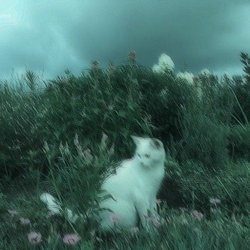 Sourire un peu mieux - Sokuu