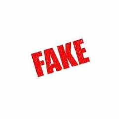 Fake Playas (remix)