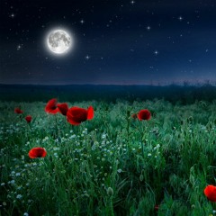 Spirit moon // Remembrance Day Set