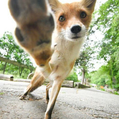 DOCTOR RAINBOWMOON [PL4CEBO & FRIENDS REMIX]