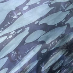SKYAPNEA 170423