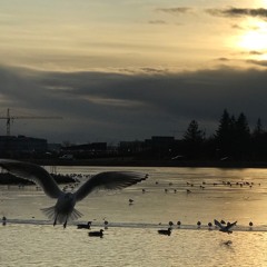 Hiske - The Lake Mix June 18 2020.WAV