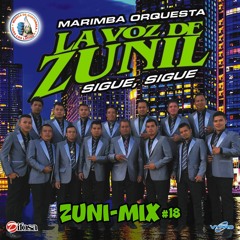 Zuni-Mix 18: La Frontera / Borracho de Amor / Los Alambrados / El Retrato de Mi Madre / Mándale una Cara a Tu Marido