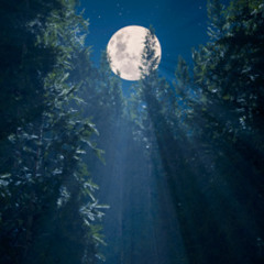 LUNA LUX
