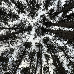 classics and favorites mix