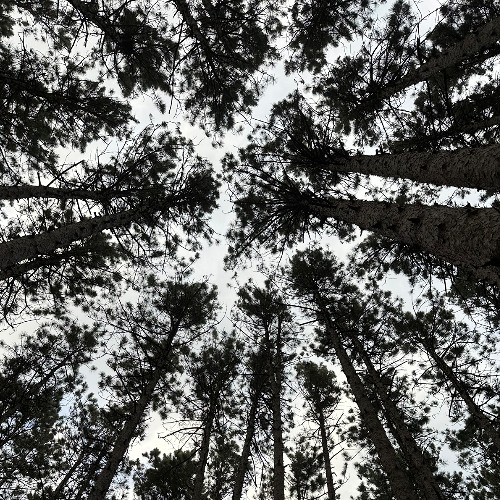 classics and favorites mix