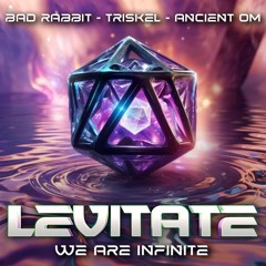 Levitate 2024 ChillStage closing set
