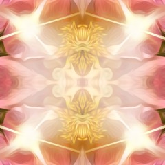 Gateways MasMediMix (Sample)