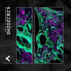 Ripper's Song (Original Mix)