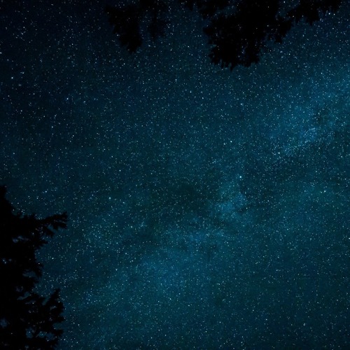 stardust