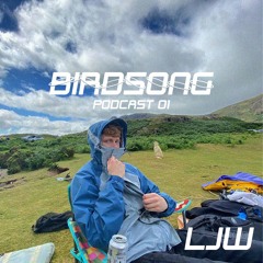 Birdsong Podcast 01 - Lofthaus