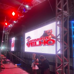 MC´S BIURIFOL & MAIS ALTO - CATARINA VELHO - (( DJ 2K, DJ JAVÃ, DJ CROSS DO ESQUENTA ))
