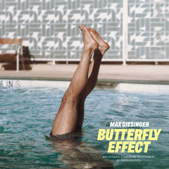 Butterfly Effect