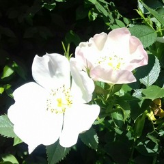 I've got you under my skin-karaoke youtube