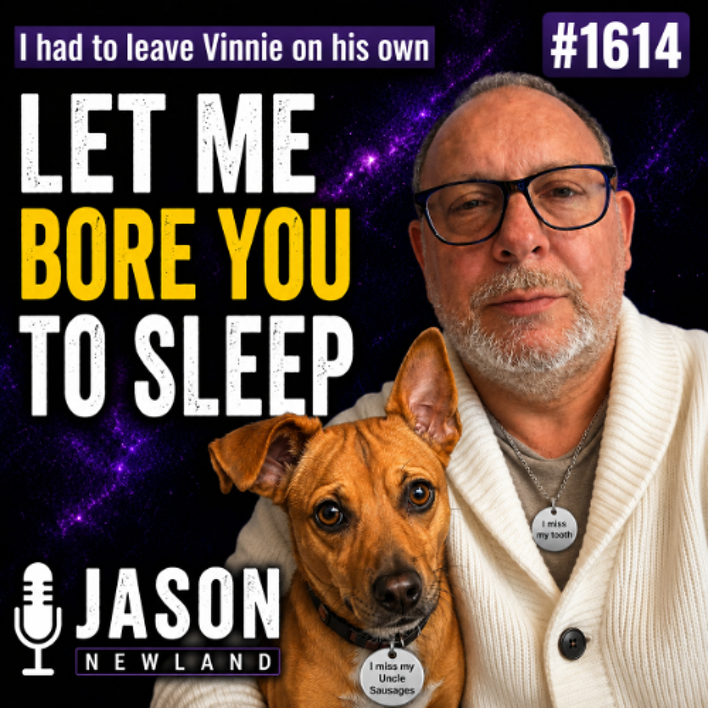 I had to leave Vinnie on his own  #1614 Let Me Bore You To Sleep  Short Music  Jason Newland