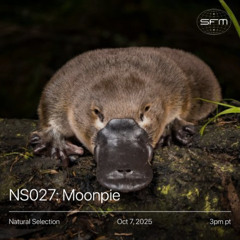 NS 027: Moonpie