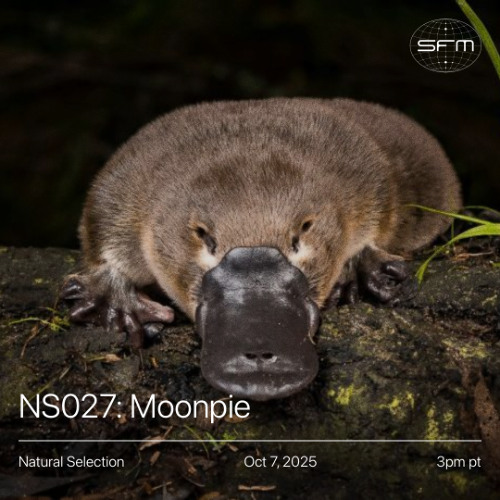 Natural Selection: Moonpie